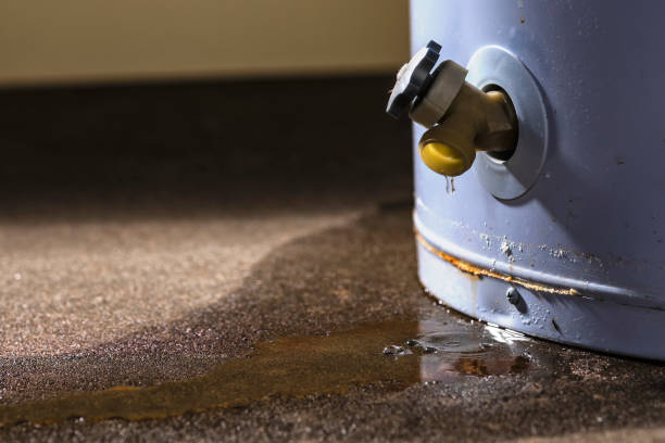 Best Local water damage restoration  in Winfield, KS