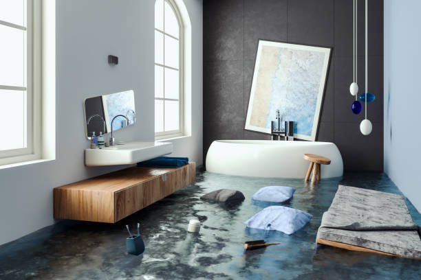 Best Professional water damage repair  in Winfield, KS