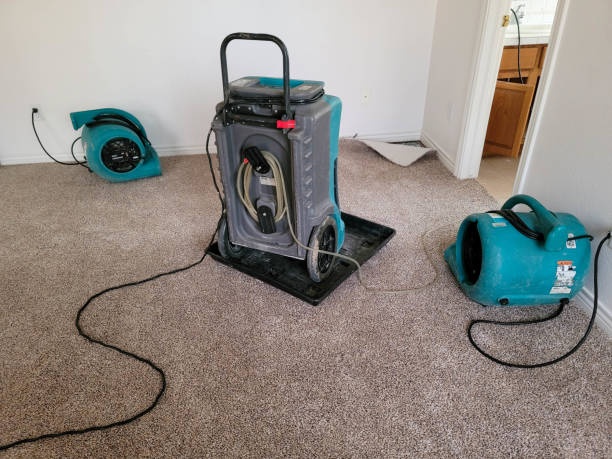 Best Fire Damage Restoration  in Winfield, KS
