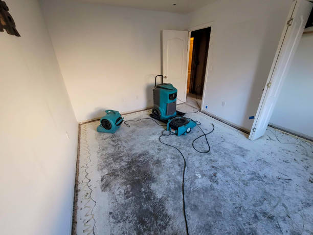 Best Carpet water damage restoration  in Winfield, KS