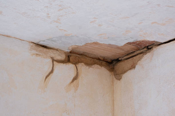 Best Ceiling water damage repair  in Winfield, KS