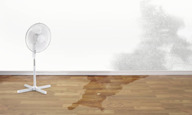 Best Residential water damage restoration  in Winfield, KS