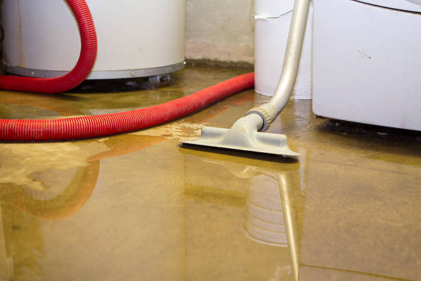 Best Water damage restoration near me  in Winfield, KS