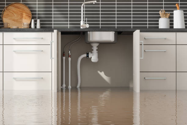 Best Water damage cleanup near me  in Winfield, KS