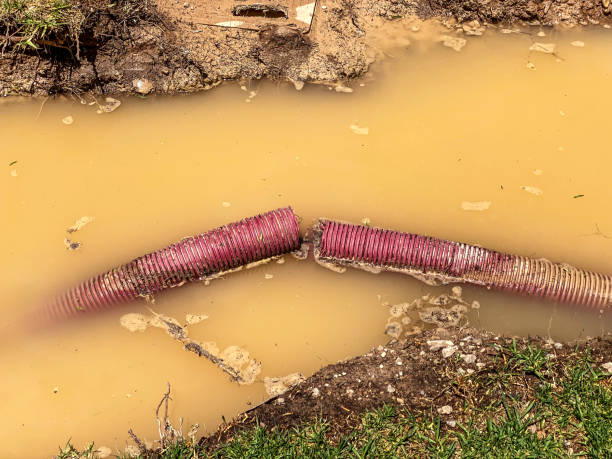 Best Emergency water damage restoration  in Winfield, KS